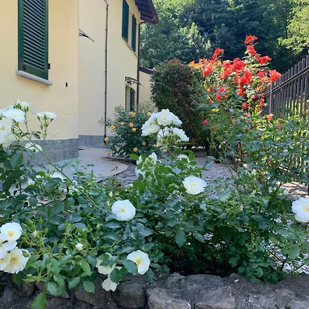 Appartement Oliveto